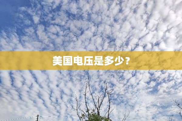 美国电压是多少？