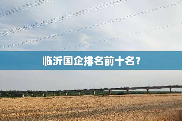 临沂国企排名前十名？