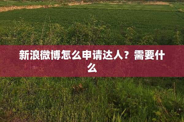 新浪微博怎么申请达人？需要什么