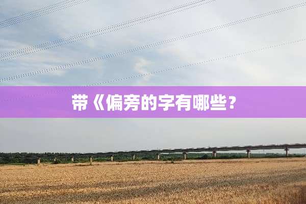 带《偏旁的字有哪些？