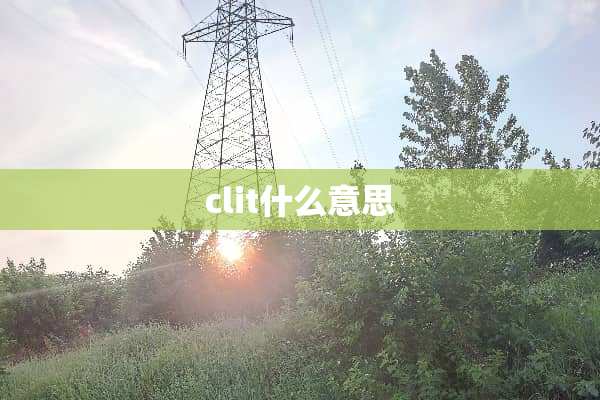 clit什么意思