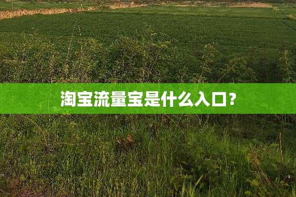 淘宝流量宝是什么入口？