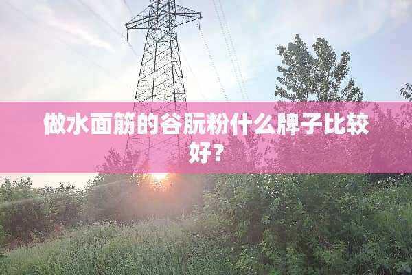 做水面筋的谷朊粉什么牌子比较好？