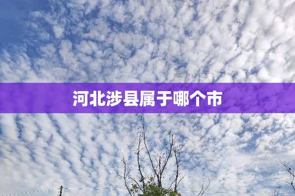 河北涉县属于哪个市