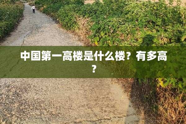 中国第一高楼是什么楼？有多高？