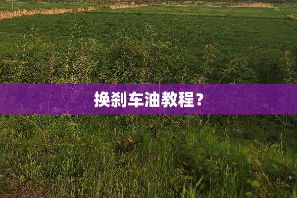 换刹车油教程？