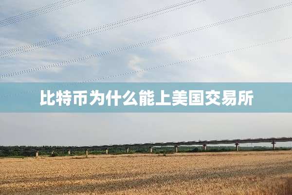 比特币为什么能上美国交易所