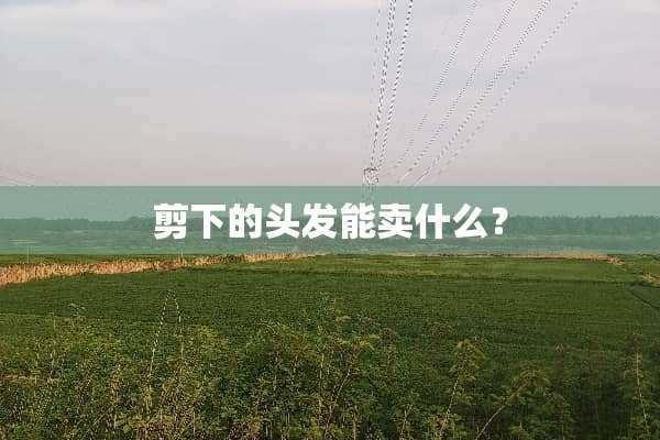 剪下的头发能卖什么？