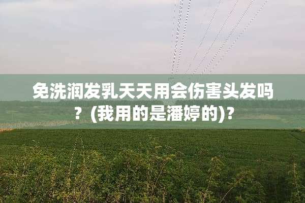 免洗润发乳天天用会伤害头发吗？(我用的是潘婷的)？