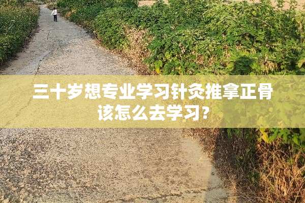 三十岁想专业学习针灸推拿正骨该怎么去学习？