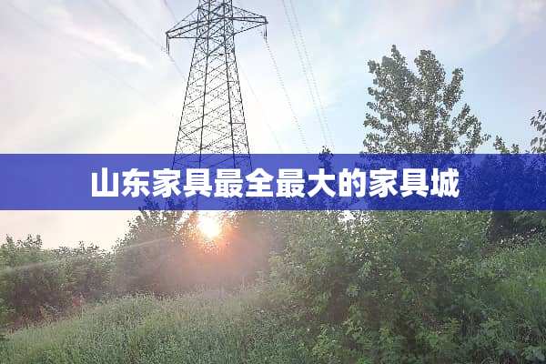 山东家具最全最大的家具城