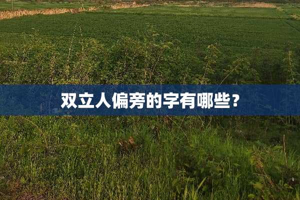 双立人偏旁的字有哪些？