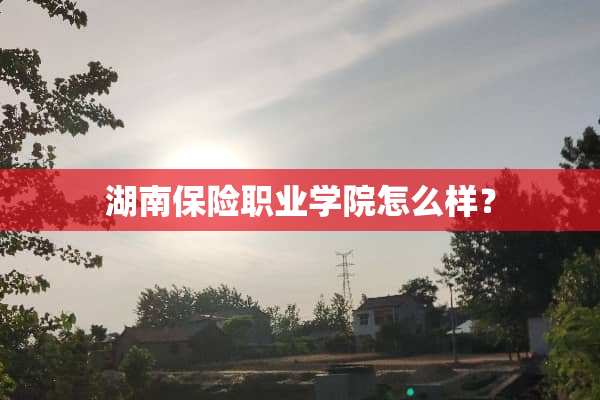 湖南保险职业学院怎么样？