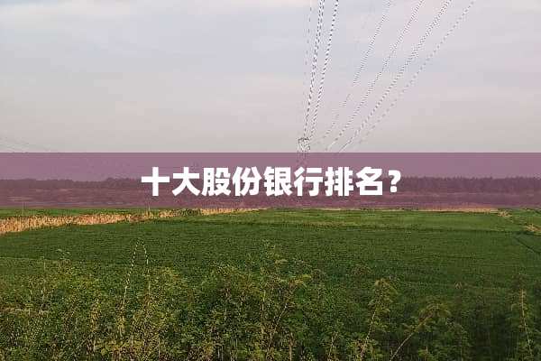 十大股份银行排名？