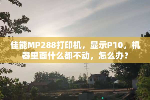 佳能MP288打印机，显示P10，机器里面什么都不动，怎么办？