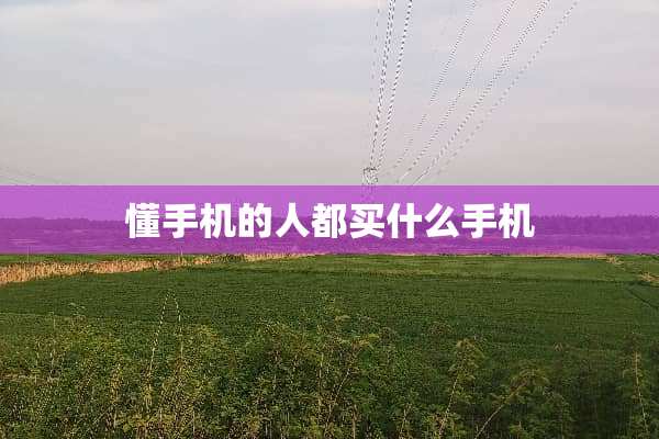 懂手机的人都买什么手机