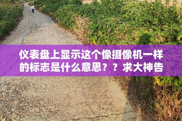 仪表盘上显示这个像**机一样的标志是什么意思？？求大神告知！！谢谢！！