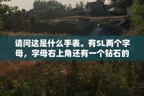 请问这是什么手表。有SL两个字母，字母右上角还有一个钻石的图案