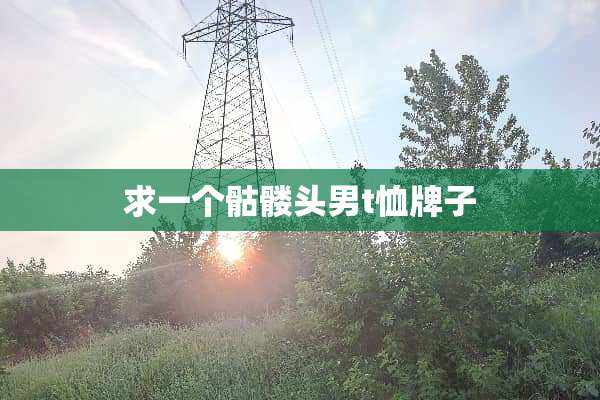 求一个骷髅头男t恤牌子