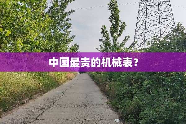 中国最贵的机械表？