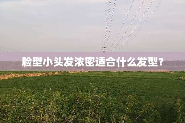 脸型小头发浓密适合什么发型？