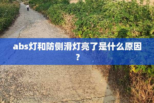 abs灯和防侧滑灯亮了是什么原因？