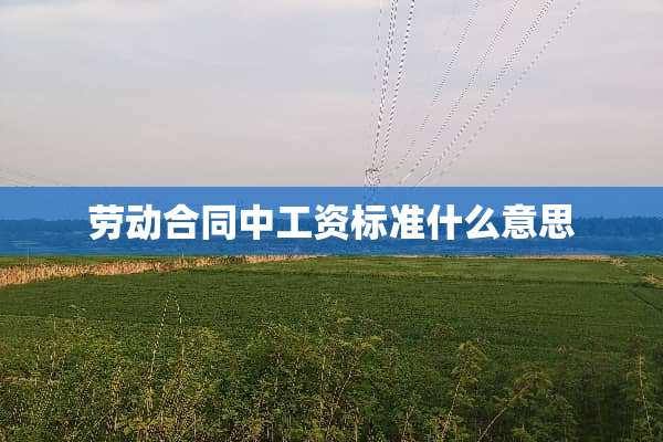 劳动合同中工资标准什么意思