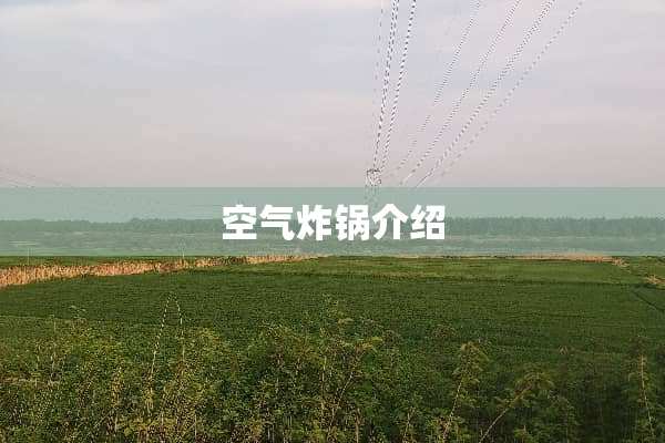 空气炸锅介绍