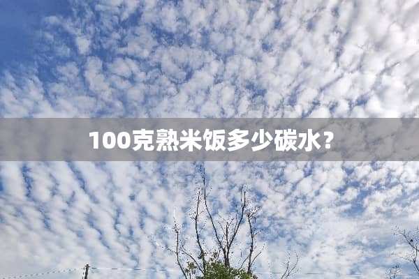 100克熟米饭多少碳水？