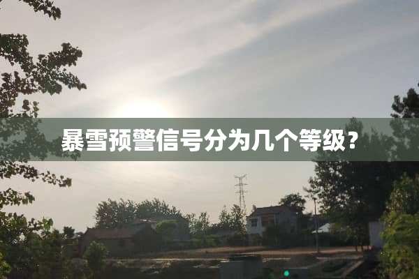 暴雪预警信号分为几个等级？