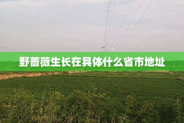 野蔷薇生长在具体什么省市地址