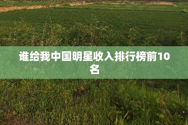 谁给我中国明星收入排行榜前10名