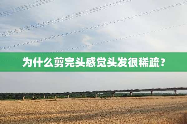 为什么剪完头感觉头发很稀疏？