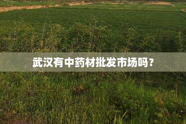 武汉有中药材批发市场吗？