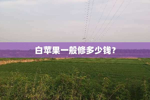 白苹果一般修多少钱？