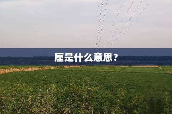 厘是什么意思？