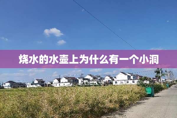 烧水的水壶上为什么有一个小洞