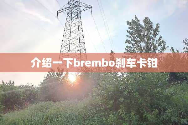 介绍一下brembo刹车卡钳