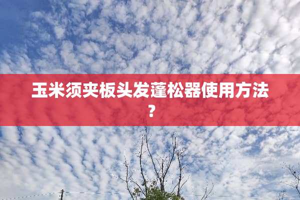 玉米须夹板头发蓬松器使用方法？