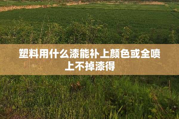 塑料用什么漆能补上颜色或全喷上不掉漆得