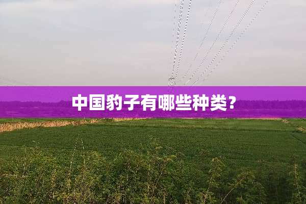 中国豹子有哪些种类？