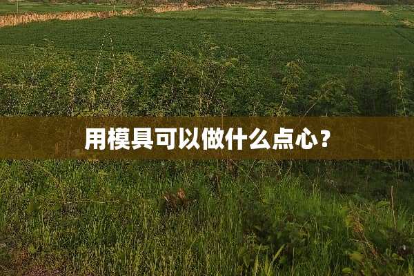 用模具可以做什么点心？
