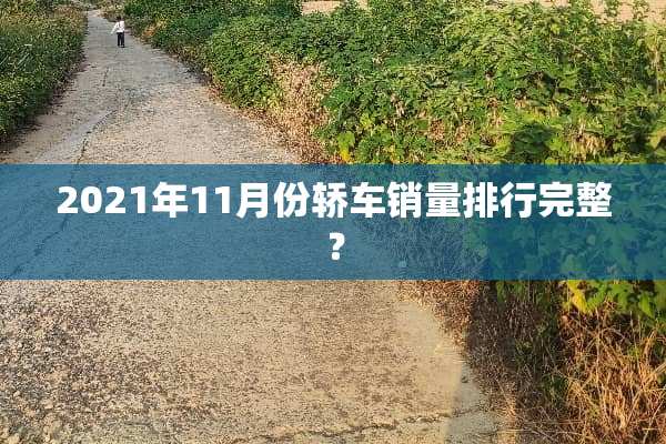 2021年11月份轿车销量排行完整？