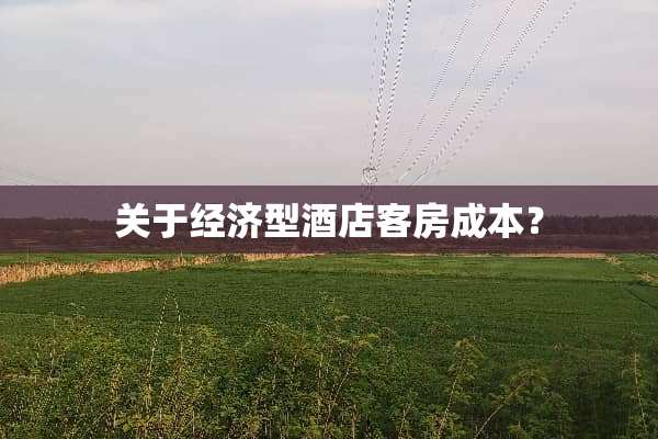 关于经济型酒店客房成本？