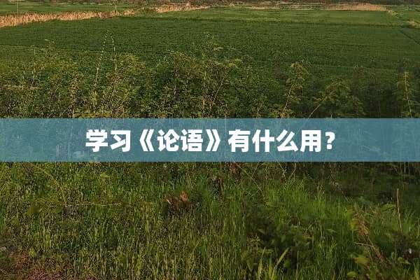 学习《论语》有什么用？