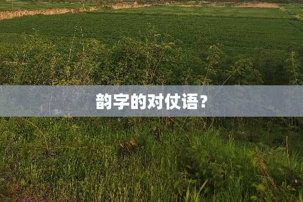 韵字的对仗语？