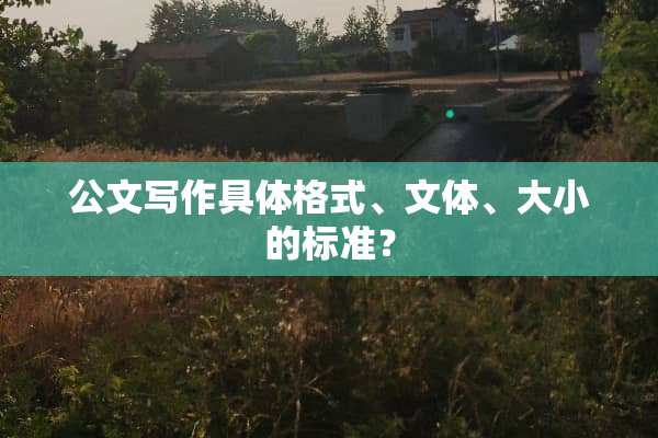 公文写作具体格式、文体、大小的标准？