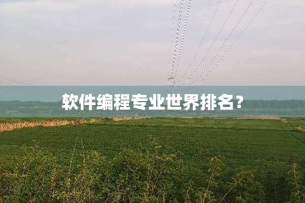 软件编程专业世界排名？