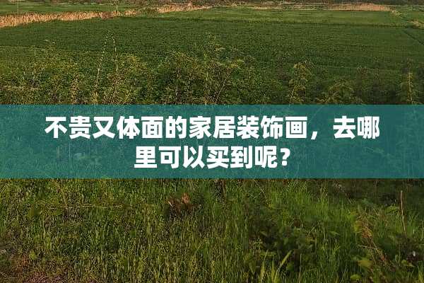 不贵又体面的家居装饰画，去哪里可以买到呢？