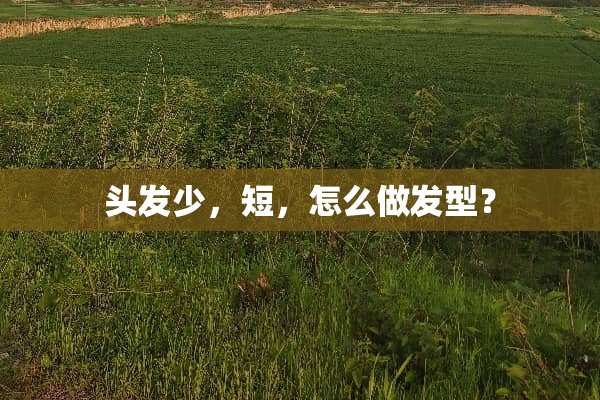 头发少，短，怎么做发型？